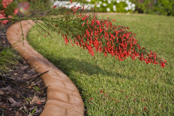 Brick Edging in Englewood